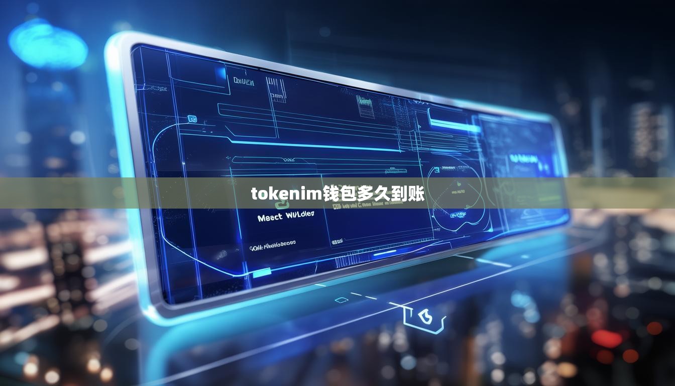 tokenim钱包多久到账