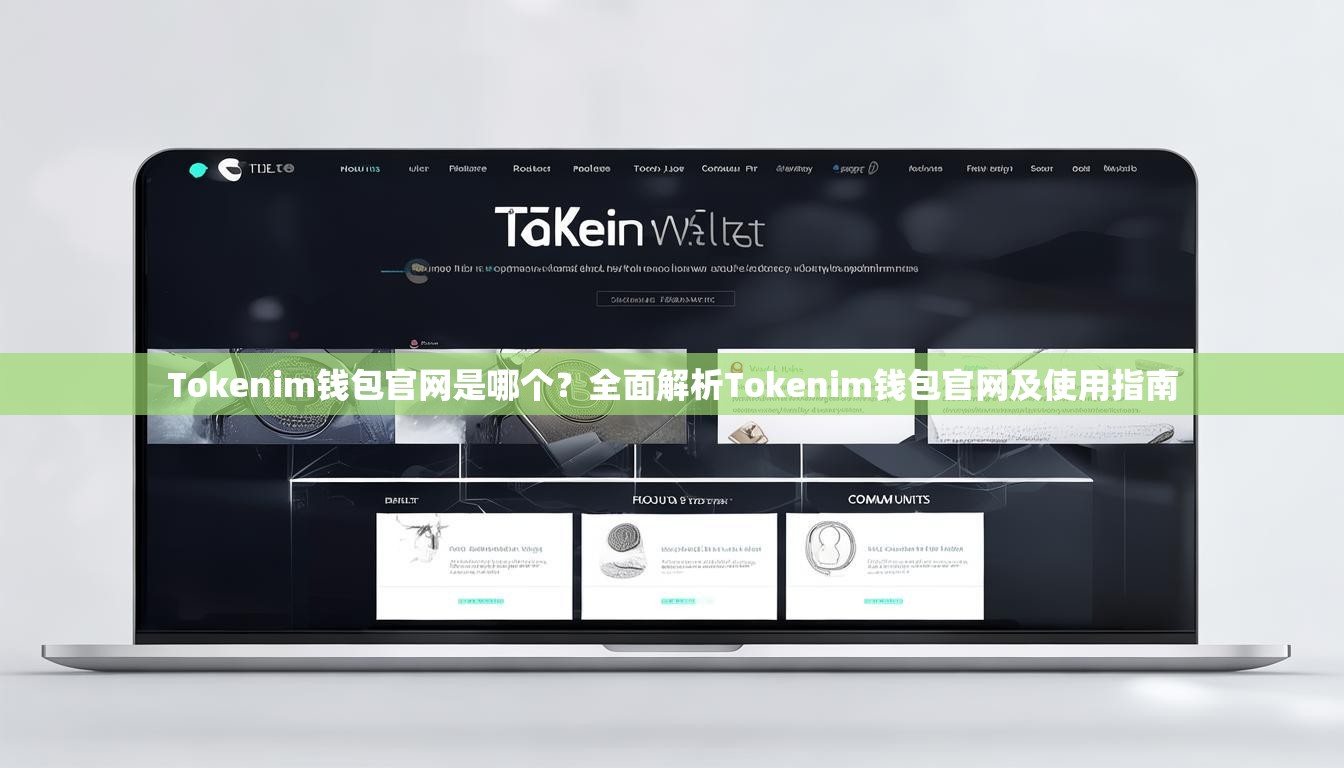 Tokenim钱包官网是哪个？全面解析Tokenim钱包官网及使用指南